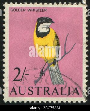 AUSTRALIEN - CIRCA 1973: Stempel, gedruckt von Australien, zeigt Vogel, ca. 1973. Stockfoto