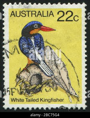 AUSTRALIEN - CIRCA 1985: Stempel, gedruckt von Australien, zeigt Vogel, ca. 1985. Stockfoto