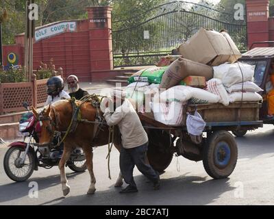 Agra, Uttar Pradesh, Indien - März 2018: Ein Mann zieht einen überlasteten Pferdewagen in einer Straße in Agra. Stockfoto