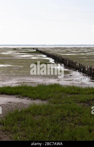 Bei Ebbe steht im Wattenmeer eine Reihe von Holzbollern. Stockfoto