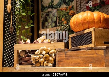 Kürbis, Pilze, Auberginen, Kartoffeln auf einem Holzmöbel ausgestellt. Gemüse und gefälschte Pflanzen Dekoration. Stockfoto