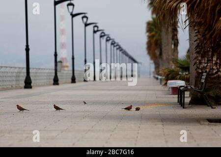 (200403) -- BEIRUT, 3. April 2020 (Xinhua) -- eine leere corniche ist in Beirut, Libanon, 3. April 2020 zu sehen. Die Zahl der COVID-19-Infektionen im Libanon erhöhte sich am Freitag um 14 Fälle auf insgesamt 508, während die Zahl der Todesopfer um einen zusätzlichen Fall Anstieg, um 17 zu erreichen, berichtete die Nationale Nachrichtenagentur. (Foto von Bilal Jawich/Xinhua) Stockfoto