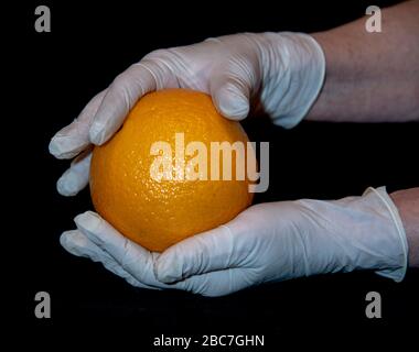 Die Hände einer älteren Frau in weißen Gummihandschuhen halten eine große orange Orange. Stockfoto