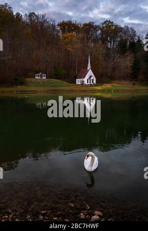 Ein Schwan posiert vor einer idyllischen Kirche an einem See in der Nähe von Romance, West Virginia. Stockfoto