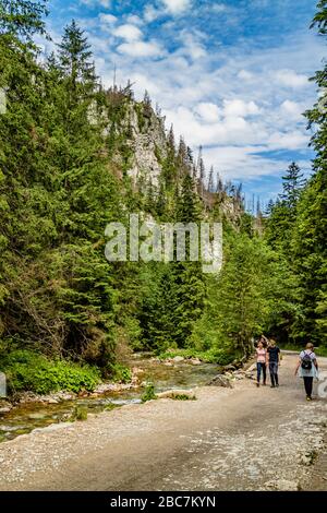 Wanderer im Kościeliska-Tal im Nationalpark Tatra, in der Nähe von Zakopane, Polen. Juli 2017. Stockfoto