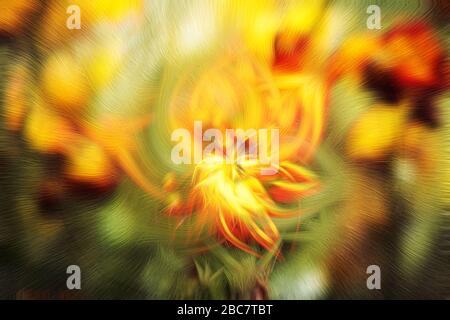 Abstrakter bunter Hintergrund der Frühlingsblumen in voller Blüte Stockfoto