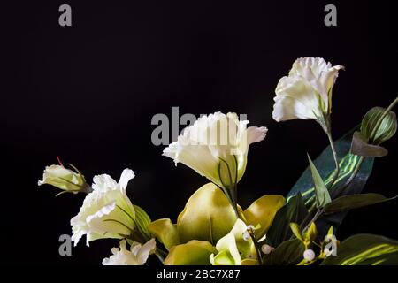 Künstliche, weiße Kunststoffblüten mit Blättern und schwarzem Hintergrund Stockfoto
