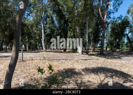 Wandern im Nahal Sorek in Israel Stockfoto