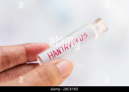 Hintergrund des Hantavirus mit Kopierbereich. Person, die ein leeres Reagenzglas oder einen Glasvil zur Prüfung der Blutprobe des hanta-virus hält, betroffene Patienten. Konzept Stockfoto