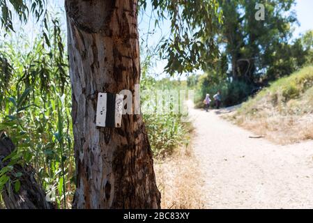 Wandern im Nahal Sorek in Israel Stockfoto