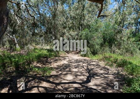 Wandern im Nahal Sorek in Israel Stockfoto