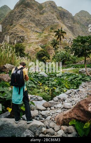 Männlicher Fotograf im grünen Tal, bedeckt mit lotus-pflanzen. Santo Antao Kap Verde. Stockfoto