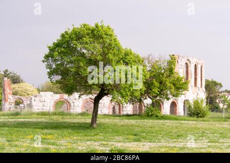 Gubbio, Italien. Panoramablick auf das alte römische Theater direkt vor der mittelalterlichen Stadt mit einer breiten Wiese und einem schönen Baum davor Stockfoto