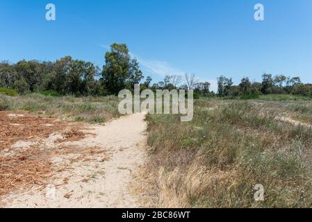 Wandern im Nahal Sorek in Israel Stockfoto