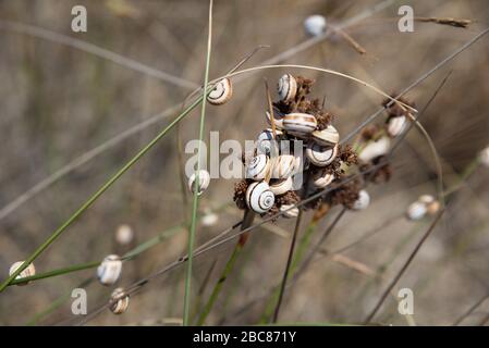 Wandern im Nahal Sorek in Israel Stockfoto