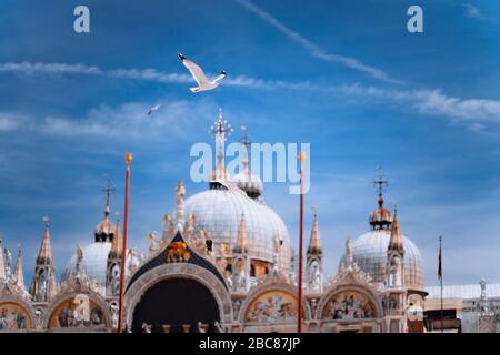 Piazza San Marco Markusplatz mit Basilica di San Marco. Dach Architektur Details mit fliegenden Möwe Vogel gegen den blauen Himmel in Venedig, Italien. Zu Stockfoto