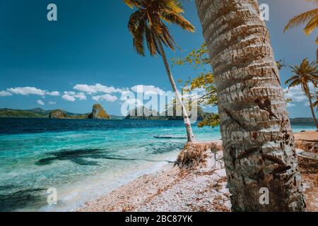 Palawan berühmte sehen muss. Palmen und einsame Insel Hopping tour Boot auf leere Ipil Strand von tropischen Pinagbuyutan, Philippinen. Stockfoto