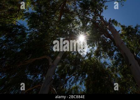 Wandern im Nahal Sorek in Israel Stockfoto