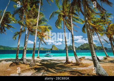 Erkunden Palawan bekanntesten touristischen Orte. Palmen und einsame Insel Hopping tour Boot auf Ipil Strand von tropischen Pinagbuyutan, Philippinen. Stockfoto