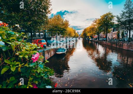 Abenddämmerung über schöne Amsterdamer Kanäle im Herbst, Blumen im Vordergrund. Stockfoto