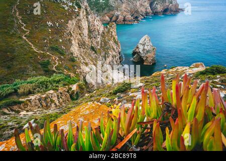 Cabo da Roca ist der extreme Punkt Europas. Verborgener Schmerz mit Felsen, blauem klarem Wasser und Laub. Atlantik, Sintra, Portugal. Stockfoto