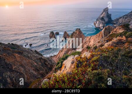 Strand Praia da Ursa bei Sonnenuntergang mit goldenem Feuer. Blumen im Vordergrund und surreale Landschaft. Sintra, Portugal, Europa. Küstenlandschaft am Atlantik. Stockfoto