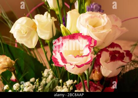 Blumenstrauß aus weißen und farbigen Rosen in Nahaufnahme, Blumenzusammensetzung Stockfoto