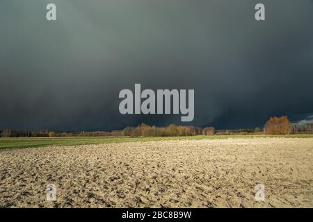 Dunkle gefährliche Wolke über einem gepflügten Feld, Wald am Horizont, Blick auf einen sonnigen Tag Stockfoto