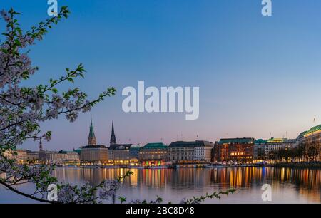 Schöner Panoramablick auf die ruhige Alster mit Hamburger Rathaus - Rathaus hinter den Gebäuden am Abend. Goldene Stunde mit Kirschblütenbaum i Stockfoto