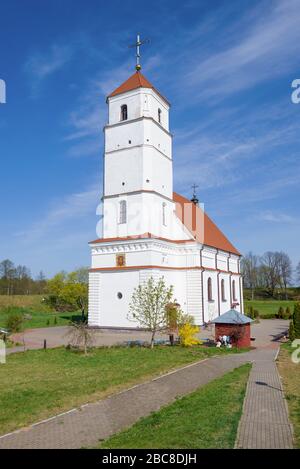 Ansicht der Verklärung Kathedrale an einem sonnigen Tag. Zaslavl, Belarus Stockfoto