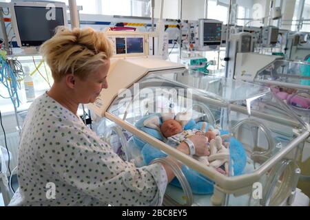 Zwillingsmutter mit einem ihrer Kinder in einem Inkubator, Intensivstation für Neugeborene, Karlsbad, Tschechien Stockfoto
