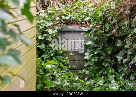 Verwahrloste überwucherte Mülltonne in schattiger Gartenecke hinter Schuppen Stockfoto