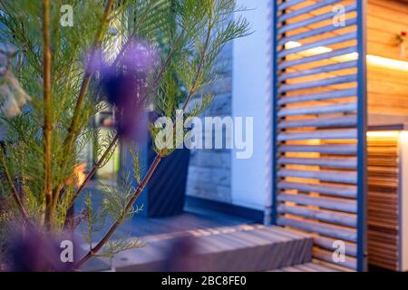 Cosmea verzweigt sich nachts in stimmungsvoller Atmosphäre auf einer Terrasse Stockfoto