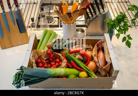 Lokale Lieferung von frischem Gemüse an der Küchenecke: Sellerie, Kirschtomaten, Lauch, Zwiebeln, Kartoffeln, rote Chilis, Frühlingszwiebeln & Limes Stockfoto