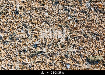 Asien, Indonesien, West Nusa Tenggara, Gili Air, gebrochene Korallen bilden Sand am Strand Stockfoto