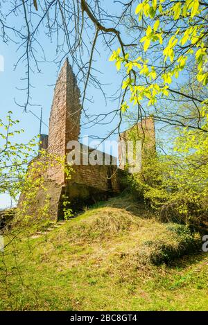 Burgruine Ramburg in der Pfalz (Südliche Weinstraße), ehemalige Stauferder Burg auf dem Schlossberg, mit großem Felsenkeller, Halsgraben, Schild w Stockfoto