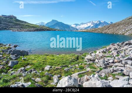 Der alpine Friesenberger See mit hoher Weißzint und Hochfeiler im Hintergrund, Zillertaler Alpen, Tyrol, Bezirk Schwaz, Österreich Stockfoto