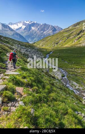 Wanderer im Lapenkar-Tal mit dem Lapenkarbacher Bach, im Hintergrund die Hochfeiler-Gruppe, Tyrol, Bezirk Schwaz, Österreich Stockfoto