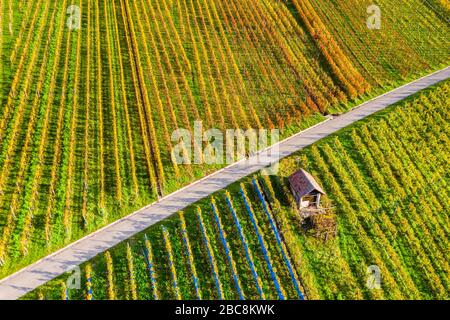 Drohnenschuss, Herbst, Weinberge bei Schnait, Remstal, Baden-Württemberg, Deutschland Stockfoto