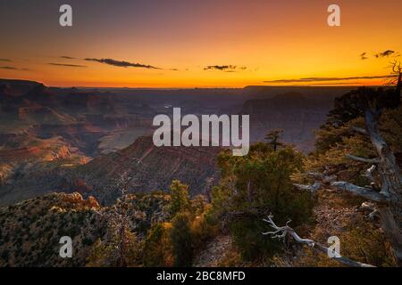 USA, Vereinigte Staaten von Amerika, Utah, Arizona, Grand Canyon, Nationalpark, Overlook, Stockfoto