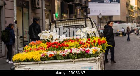 Blumenhändler in Neapel Stockfoto