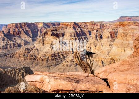 Grand Canyon West Rim, Arizona USA zeigt eine Krähe auf einem Baumstumpf. Stockfoto