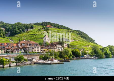 Twann am Bielersee im Berner Seeland Stockfoto