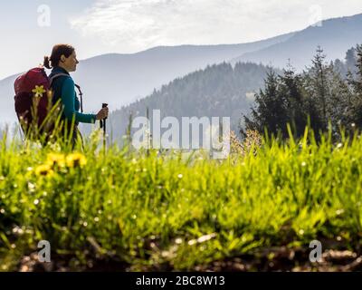 Wandern auf dem Zweilersteig, Kohlenbacher Tal, Blick Richtung Kandel Stockfoto