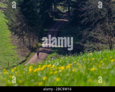 Wandern auf dem Zweilersteig, Kohlenbacher Tal Stockfoto