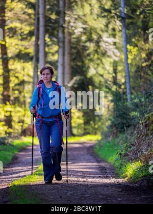 Wandern auf dem Zweilersteig, Kohlenbacher Tal Stockfoto