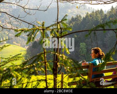 Wandern auf dem Zweilersteig, Kohlenbacher Tal, Blick Richtung Kandel Stockfoto