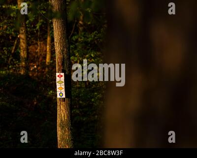 Wandern auf dem Zweilersteig, Kohlenbacher Tal, Wandermarkierungen, Wegweiser Stockfoto