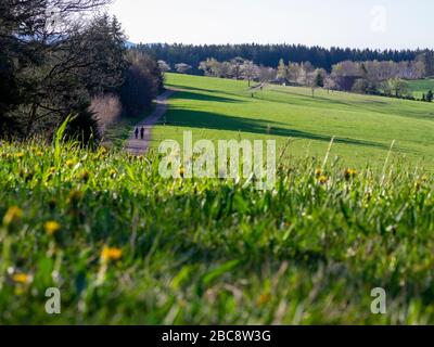 Wandern auf dem Zweilersteig, Frühling auf dem Hünersedel Stockfoto