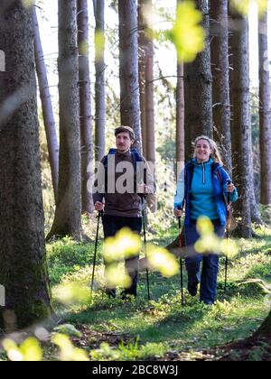 Wandern auf dem Zweilersteig, Frühling auf dem Hünersedel Stockfoto